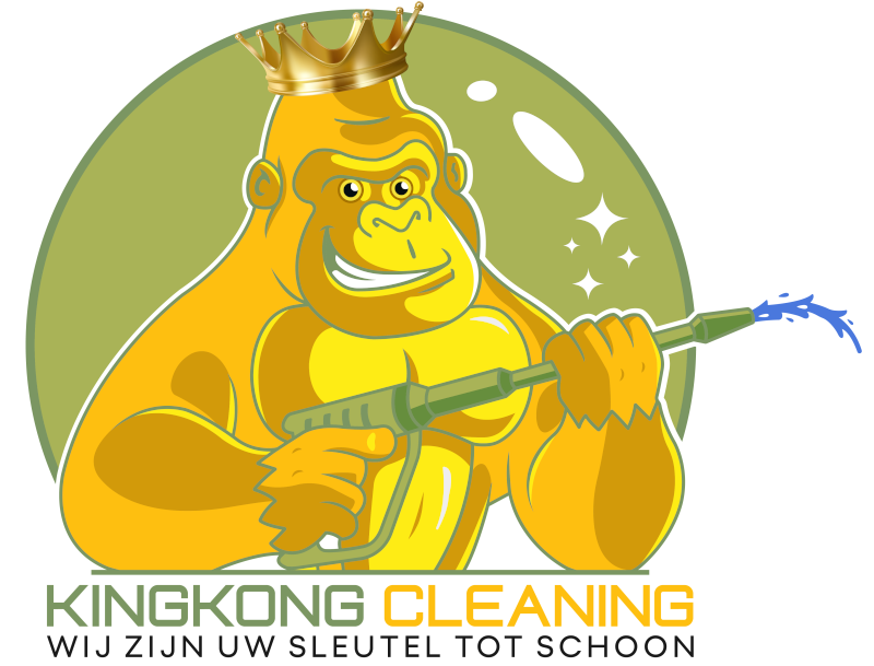 Kingkong Cleaning